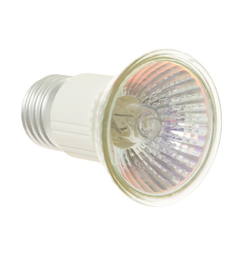 Halogen Light Bulb