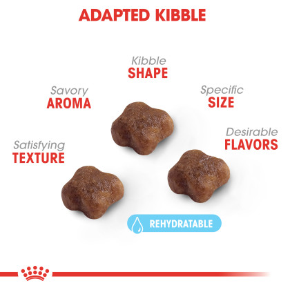 Mother & Babycat Dry Cat Food - Royal Canin
