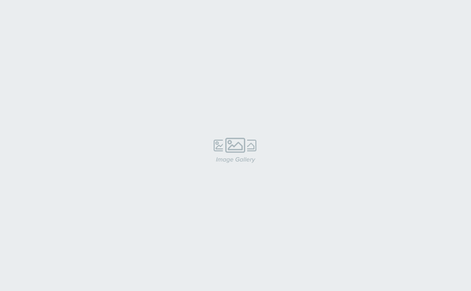 Image Gallery Placeholder