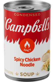 Spicy Chicken Noodle Soup