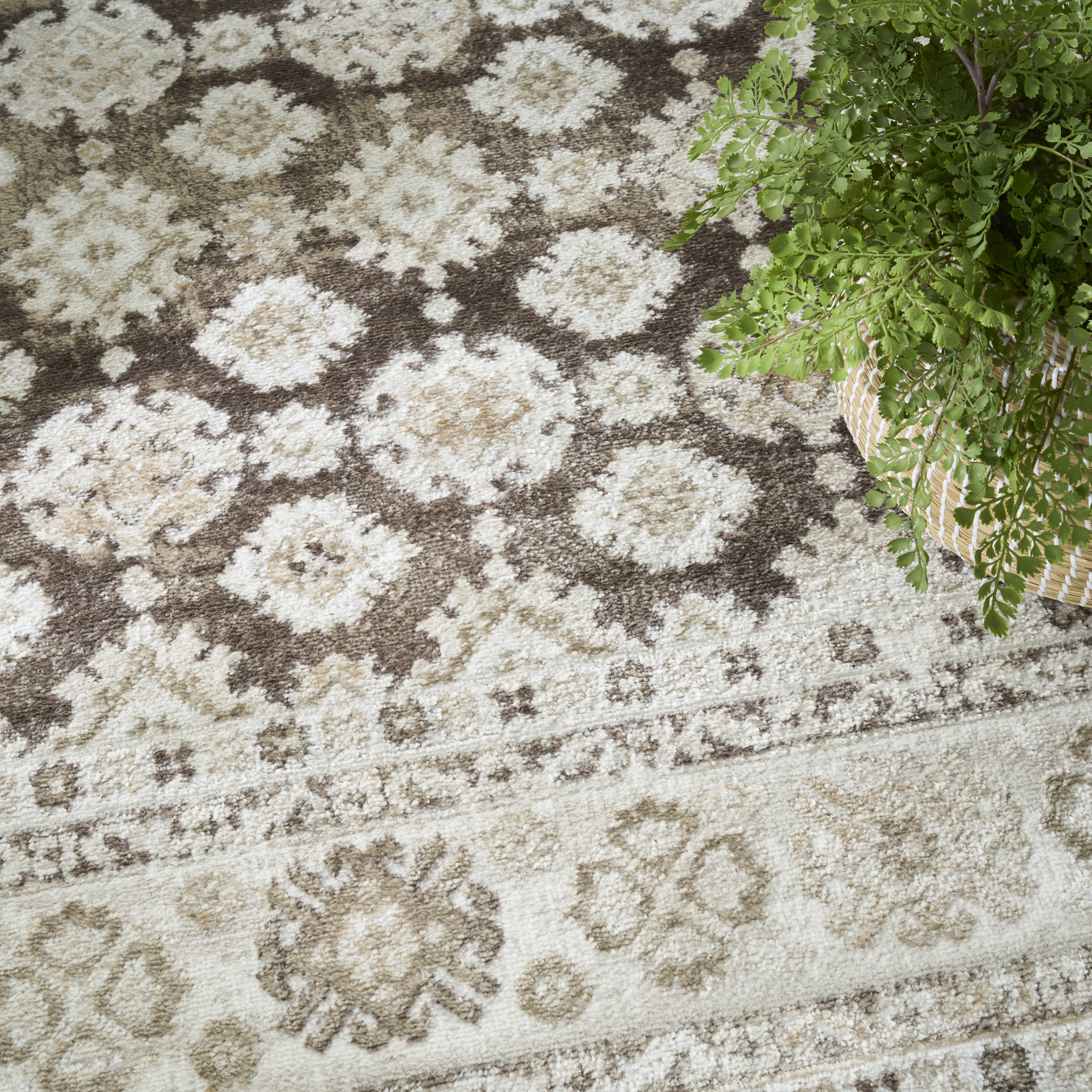 Nourison Dekor 5'3" x 7' Ivory Brown Vintage Indoor Rug