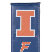 Illinois Fighting thumbnail 4
