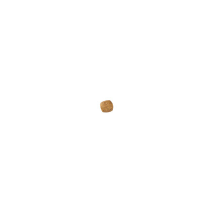 Adult kibble