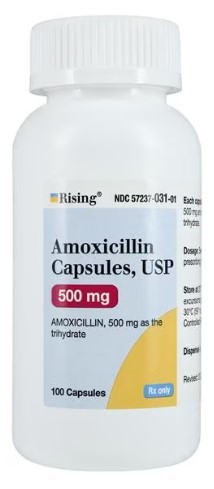 Amoxicillin Capsules 500mg Bottle 100/Bottle