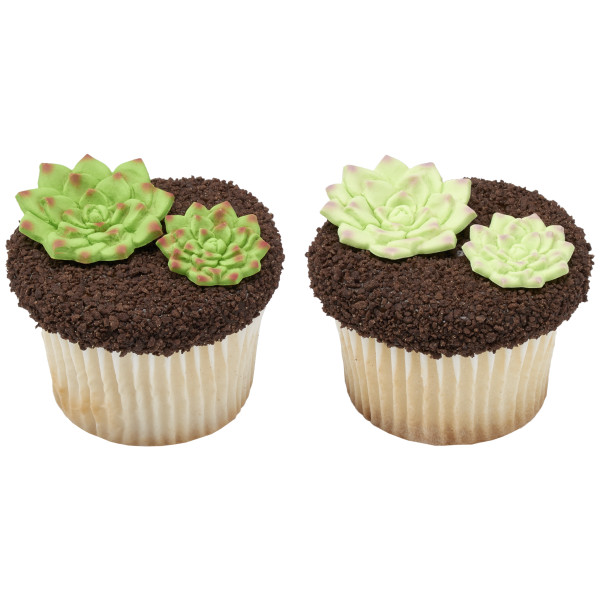 Succulents Sweet Décor® Edible Decorations