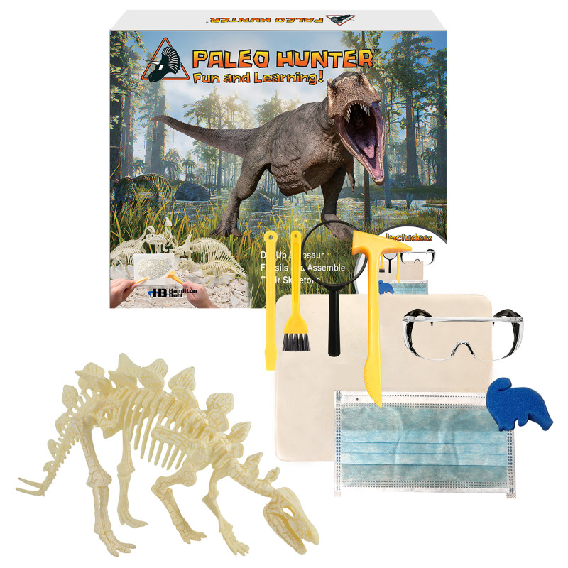 Paleo Hunter™ Dig Kit for STEAM Education - Stegosaurus