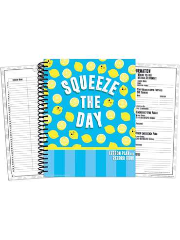 Ward class record and lesson plan book