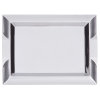 Small rectangular stainless steel serving tray