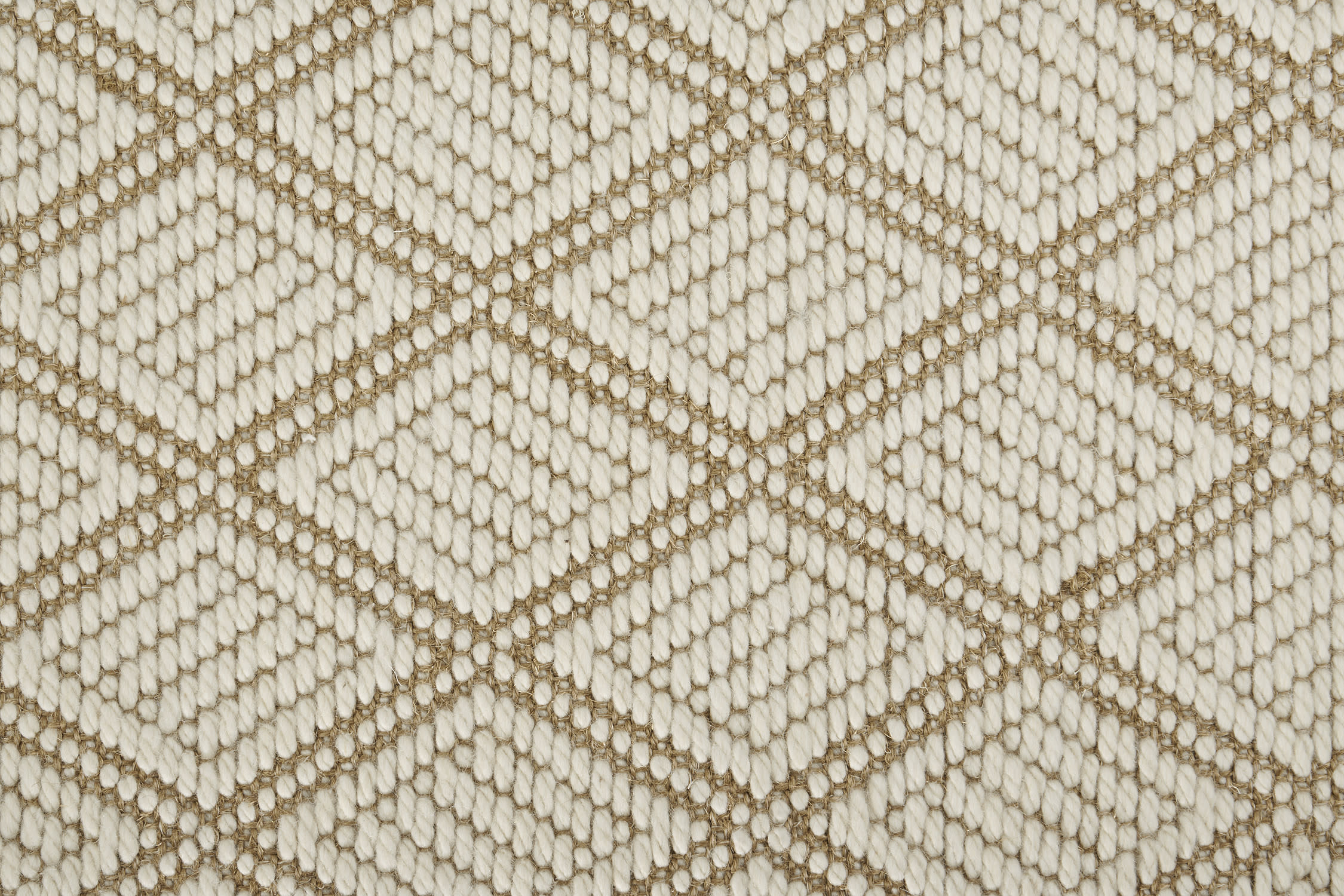 color-rug1