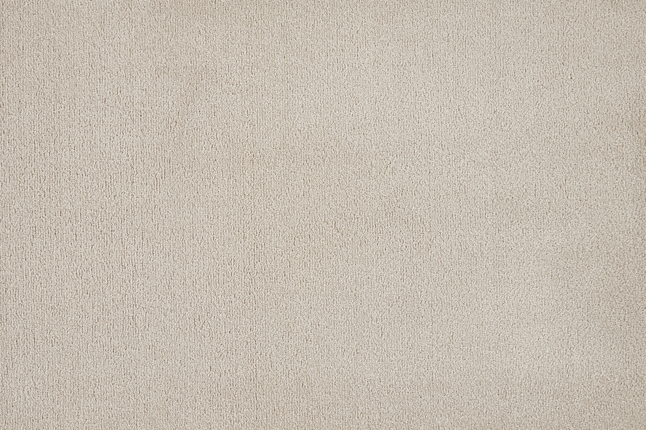 color-rug1
