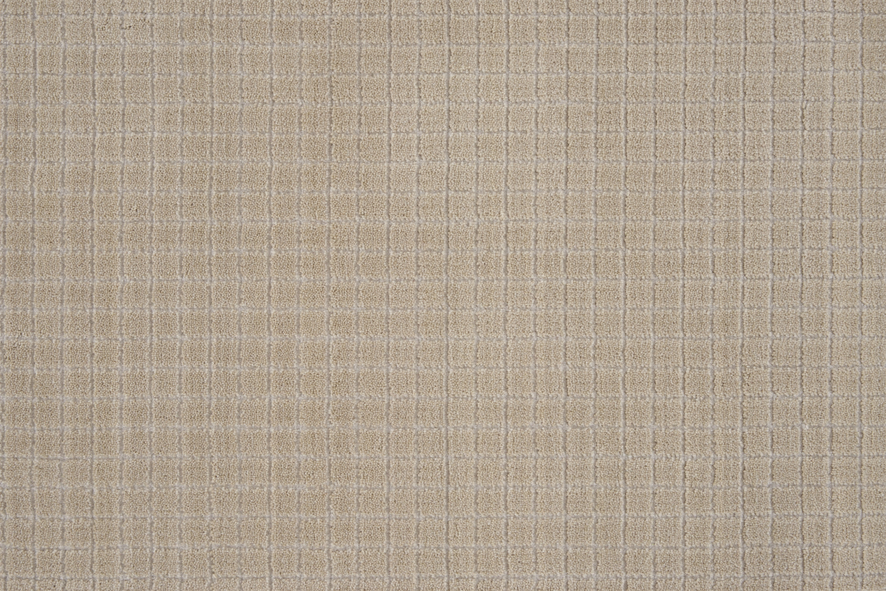color-rug1