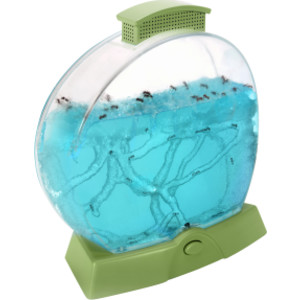 Geosafari&reg; Day 'N' Night Ant Farm