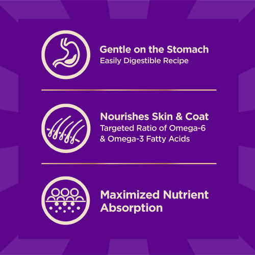 The benifts of Wellness CORE+ Wholesome Grains Sensitive Skin & Stomach Salmon & Rice Recipe