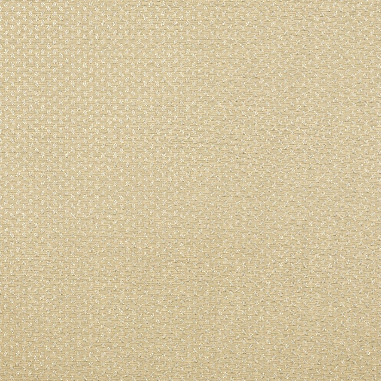 Seeds Mimosa Conservatory Roller blind