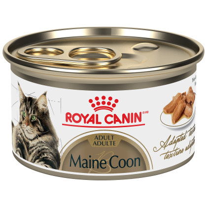 Royal Canin Feline Breed Nutrition Maine Coon Thin Slices In Gravy Canned Cat Food