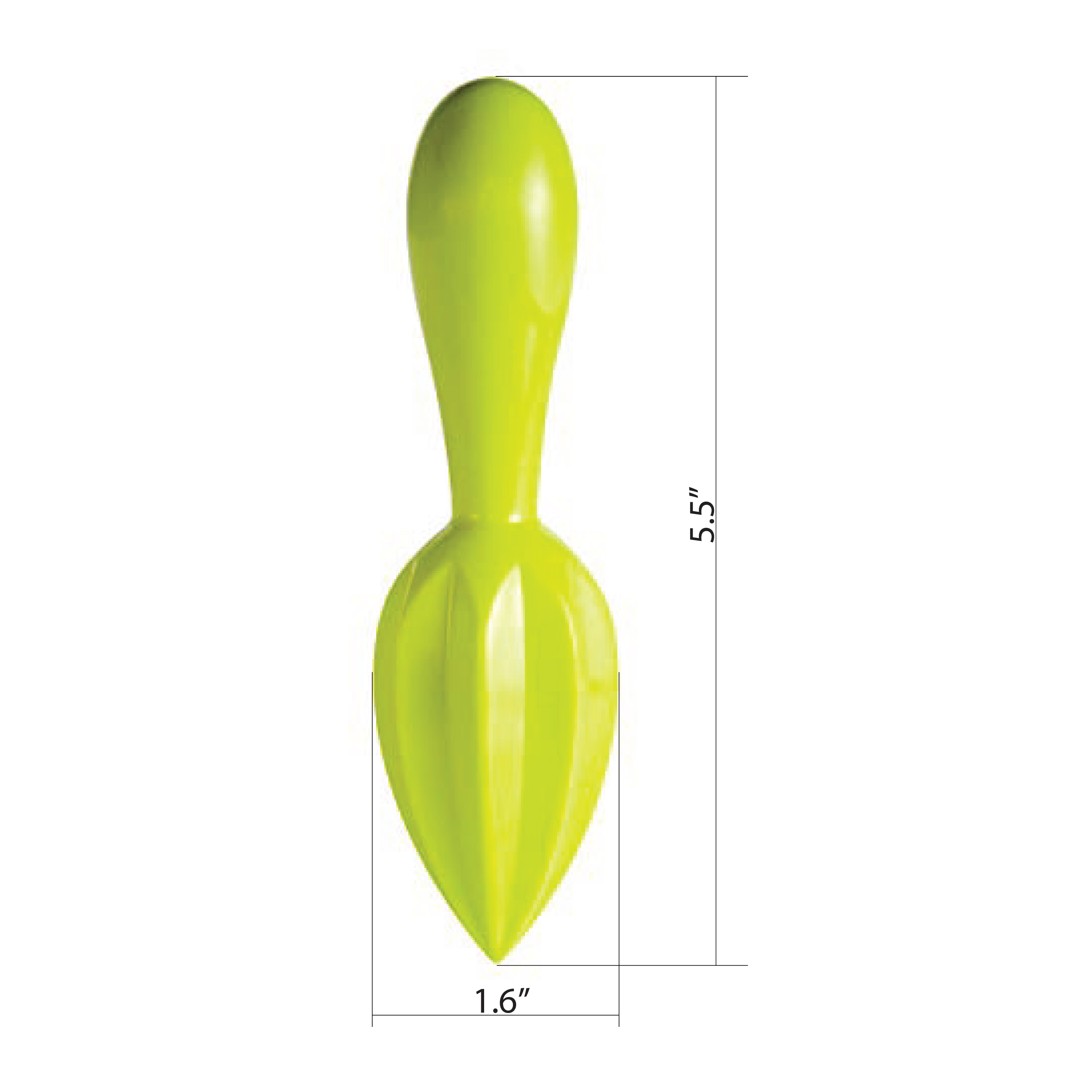 Citrus Citrus Reamer, Kiwi