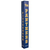 Pittsburgh Panthers thumbnail 1