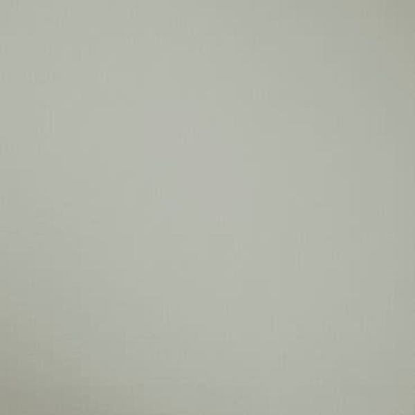 Plain pale gray-green painted wall filling the frame, flat and evenly lit; no visible furniture, fixtures, or windows, suggesting an interior wall under soft, diffuse lighting.