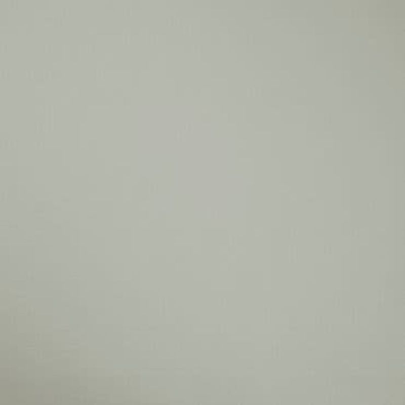 Plain pale gray-green painted wall filling the frame, flat and evenly lit; no visible furniture, fixtures, or windows, suggesting an interior wall under soft, diffuse lighting.