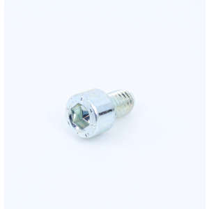 Screw