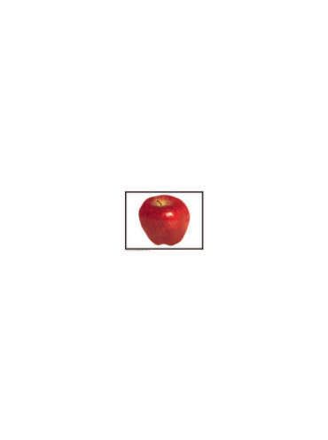 s--SkT0w0y2--/zplbvllb7rbp9pd3xdmp.jpg