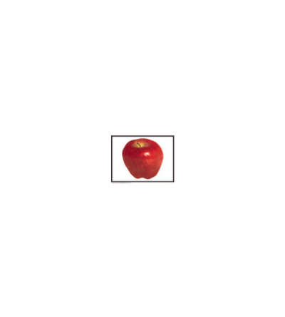 s--SkT0w0y2--/zplbvllb7rbp9pd3xdmp.jpg