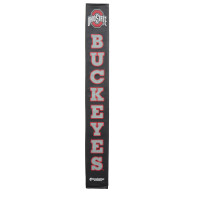 Ohio State thumbnail 2
