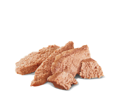 Shih Tzu Adult (in loaf) kibble