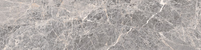 Starling Silver Grey 3×12 Field Tile Polished Rectified