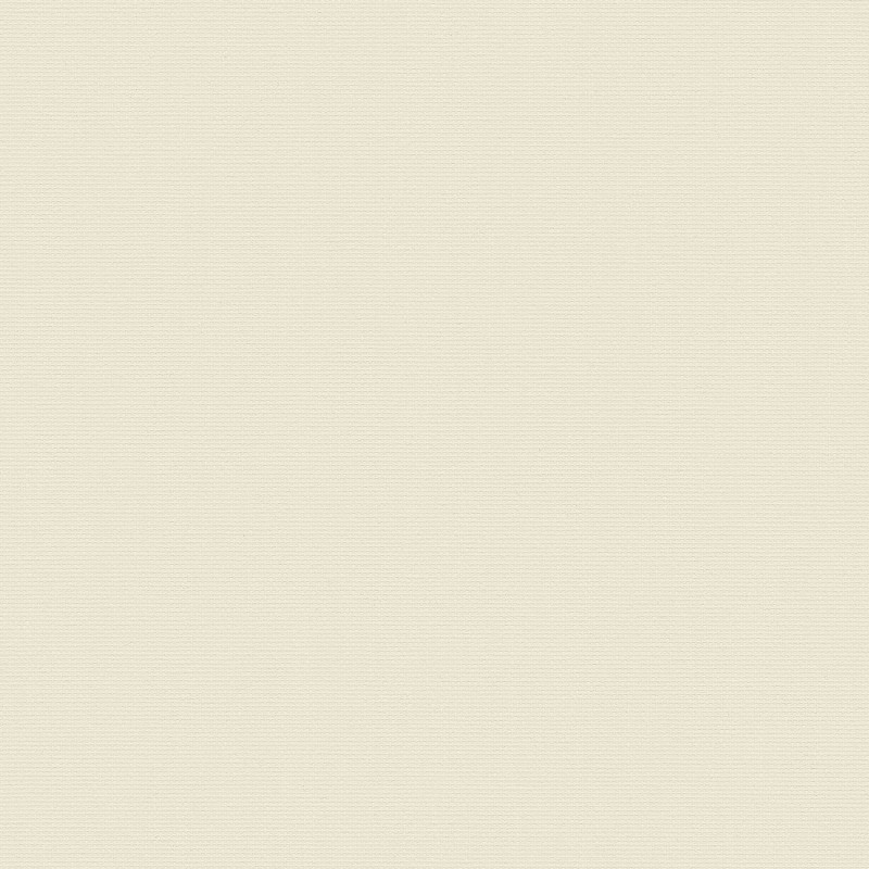 Acacia Sesame Vertical blind