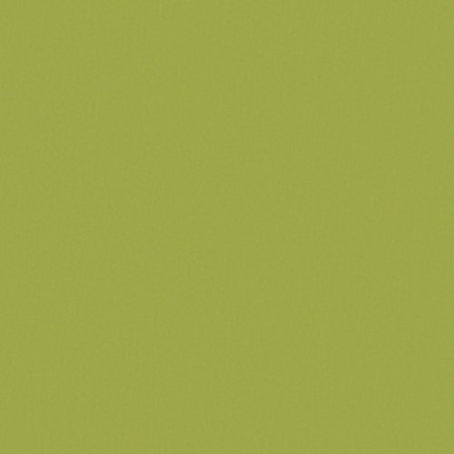 Lime-green textured surface — fills the frame, lying flat and uniform — no other objects or visible environment, evenly lit.