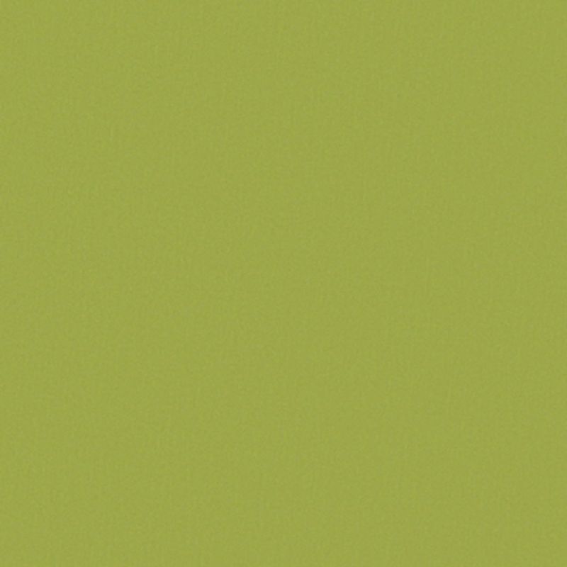 Lime-green textured surface â€” fills the frame, lying flat and uniform â€” no other objects or visible environment, evenly lit.