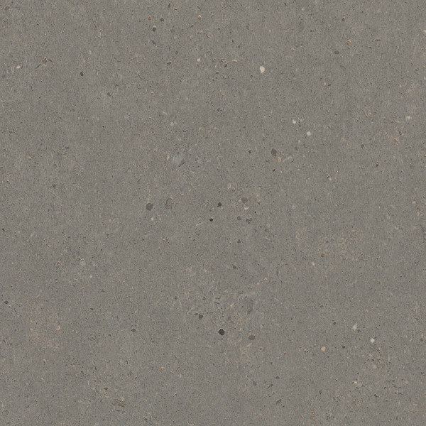 Sample Oak B