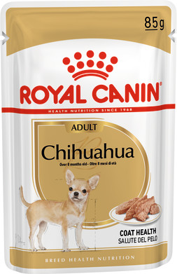 Chihuahua Adult (in loaf)