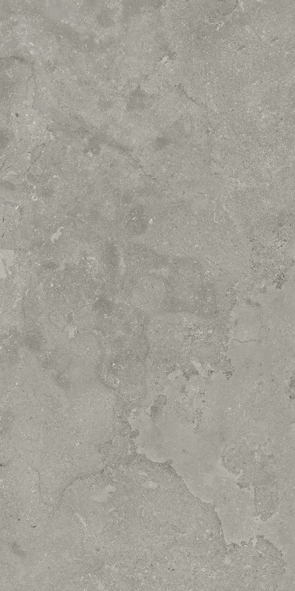 EcoStone Cross-Cut Fossil 24x48 Field Tile Rectified - Virginia Tile ...