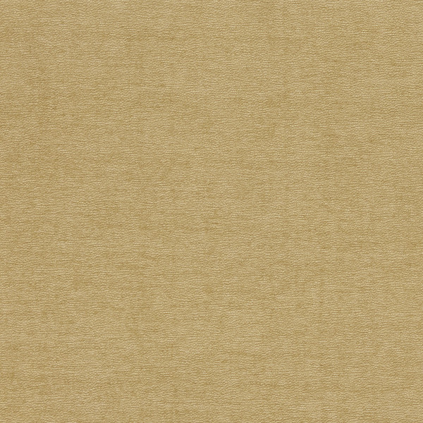 Beige textured paper surface occupying the frame; showing subtle horizontal grain and faint creases, lying flat and evenly lit, resembling aged parchment or a fabric backdrop.