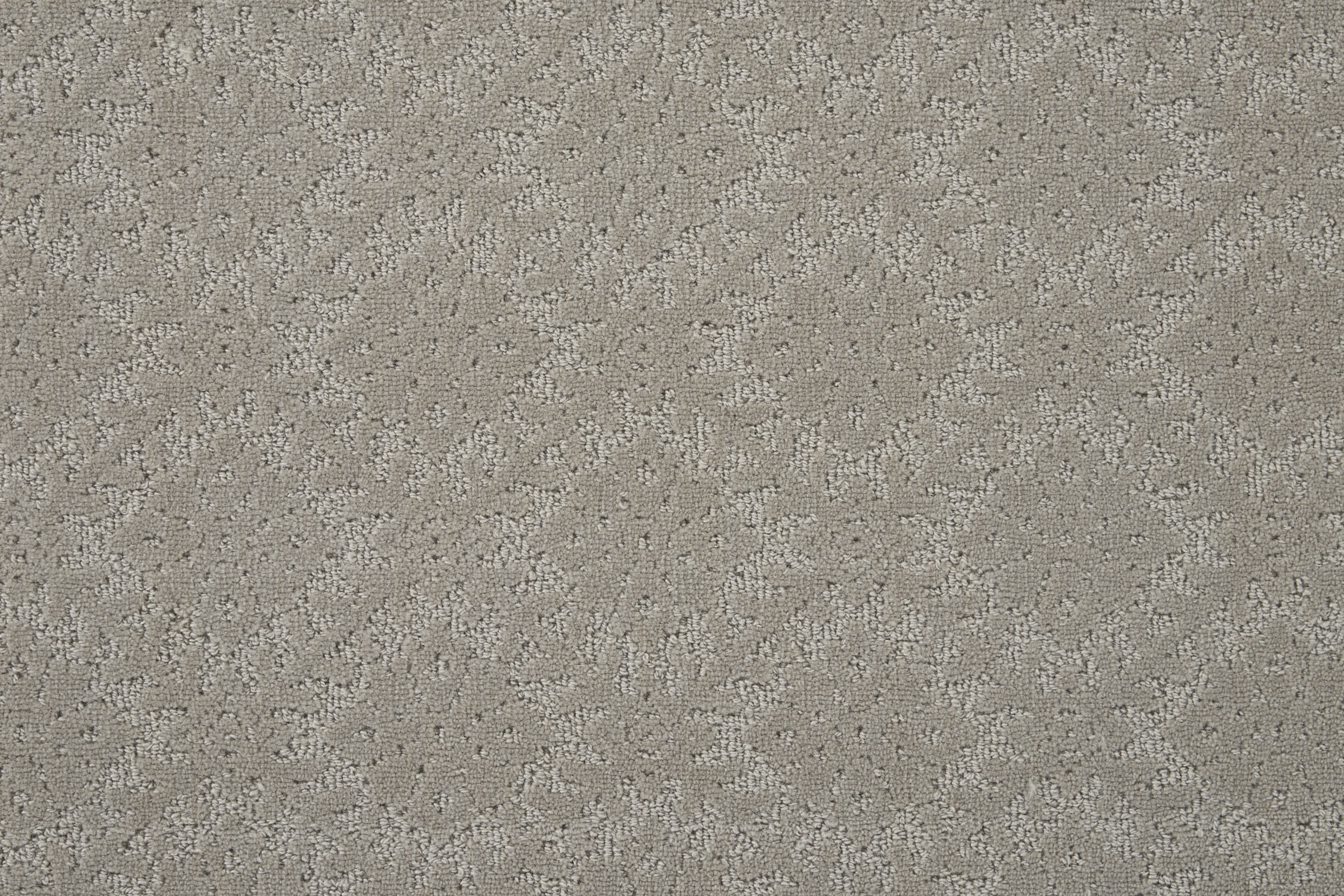 color-rug1