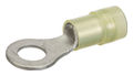 Nylon Insulated Ring Terminal for 1/4 Stud and 12-10 AWG
