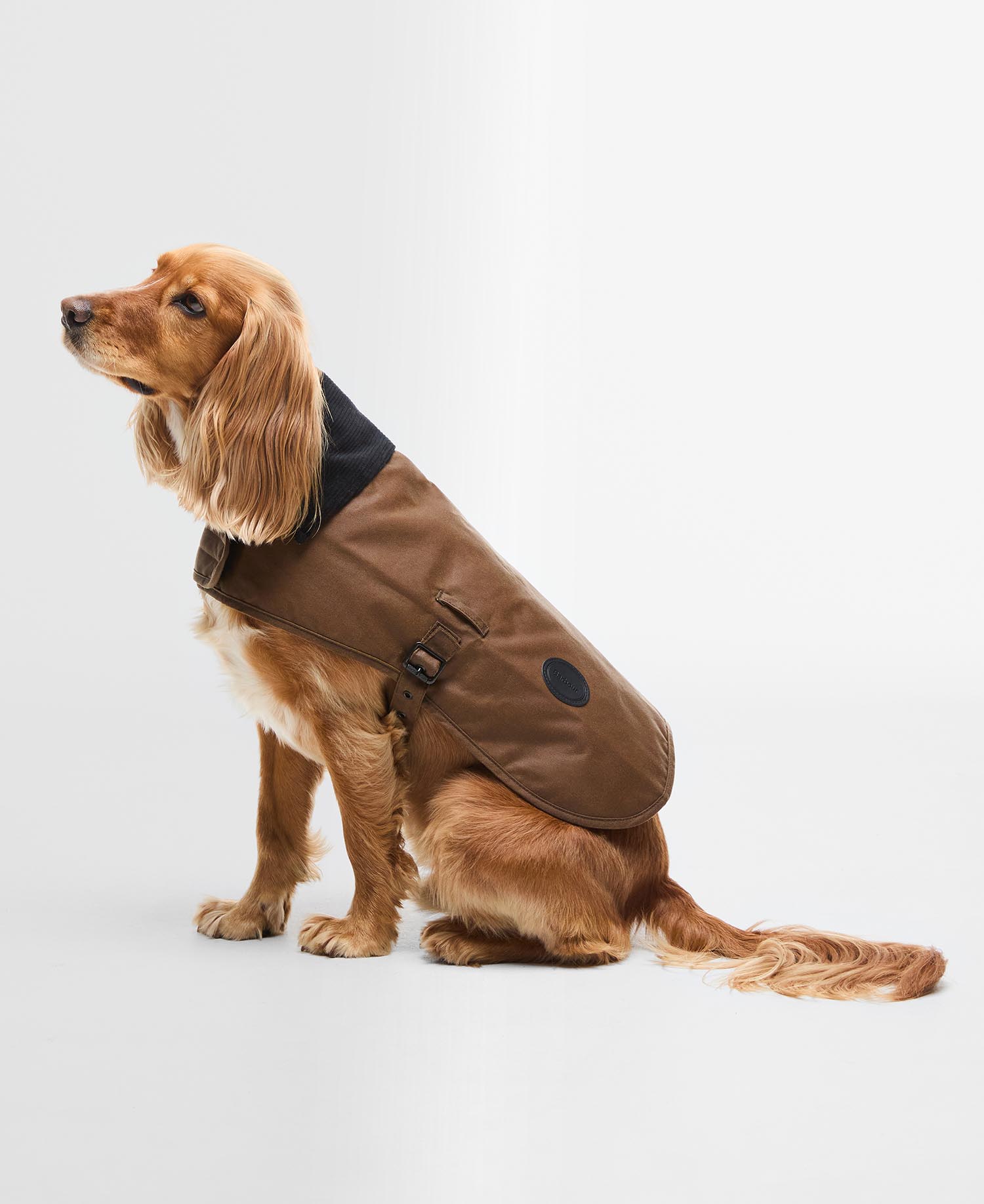Hundemantel Wachs image number 0