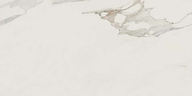 Valentina Calacatta 24×48 Field Tile Polished Rectified