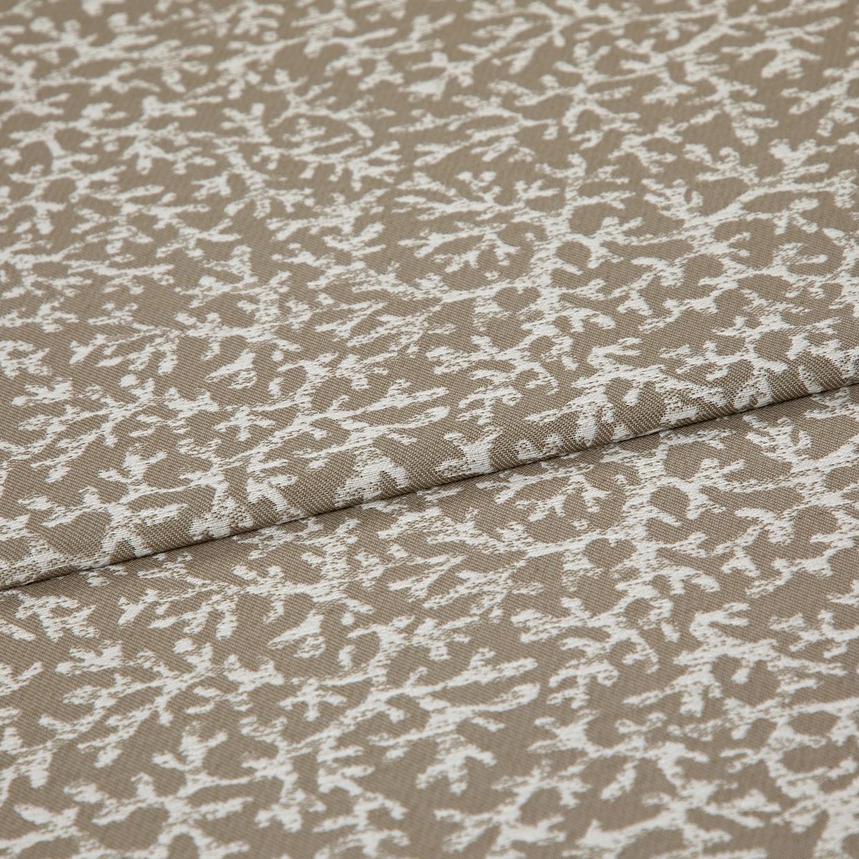 Coral Oyster Curtain