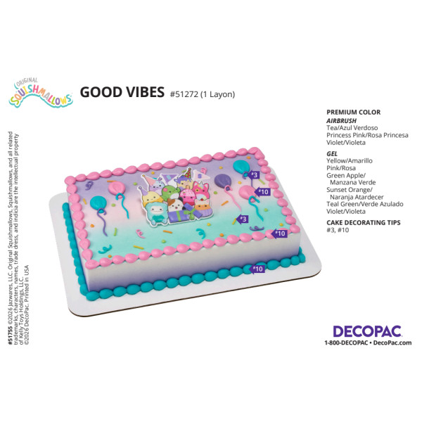 Squishmallows Good Vibes Cake Decorating Instruction Card
