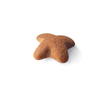 Beagle Adult kibble