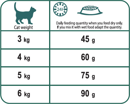 No 3 Lively - Cat Food - ROYAL CANIN®