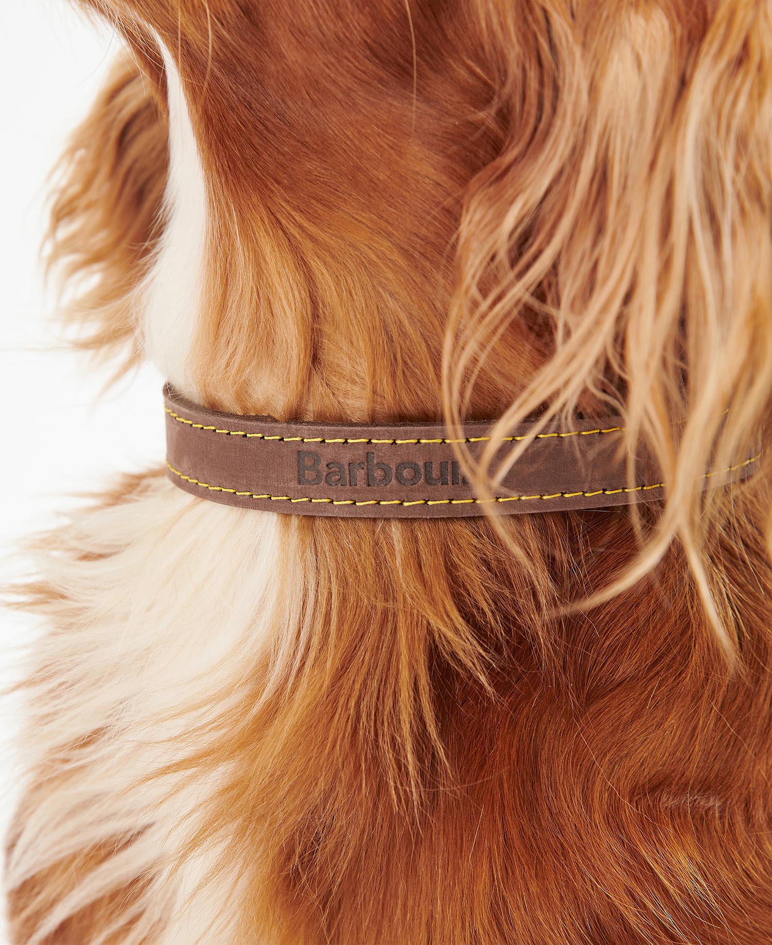 Leather Dog Collar image number 3