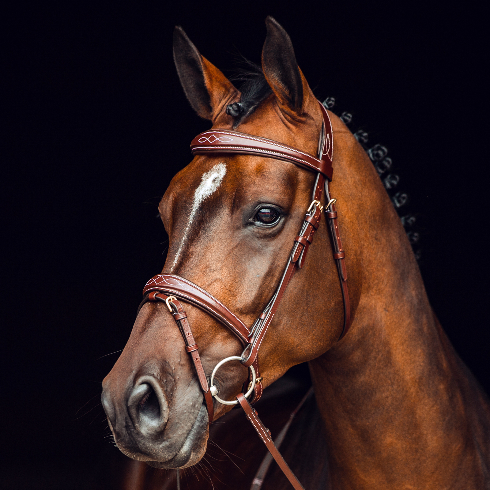 Horze Sion Bridle with Reins