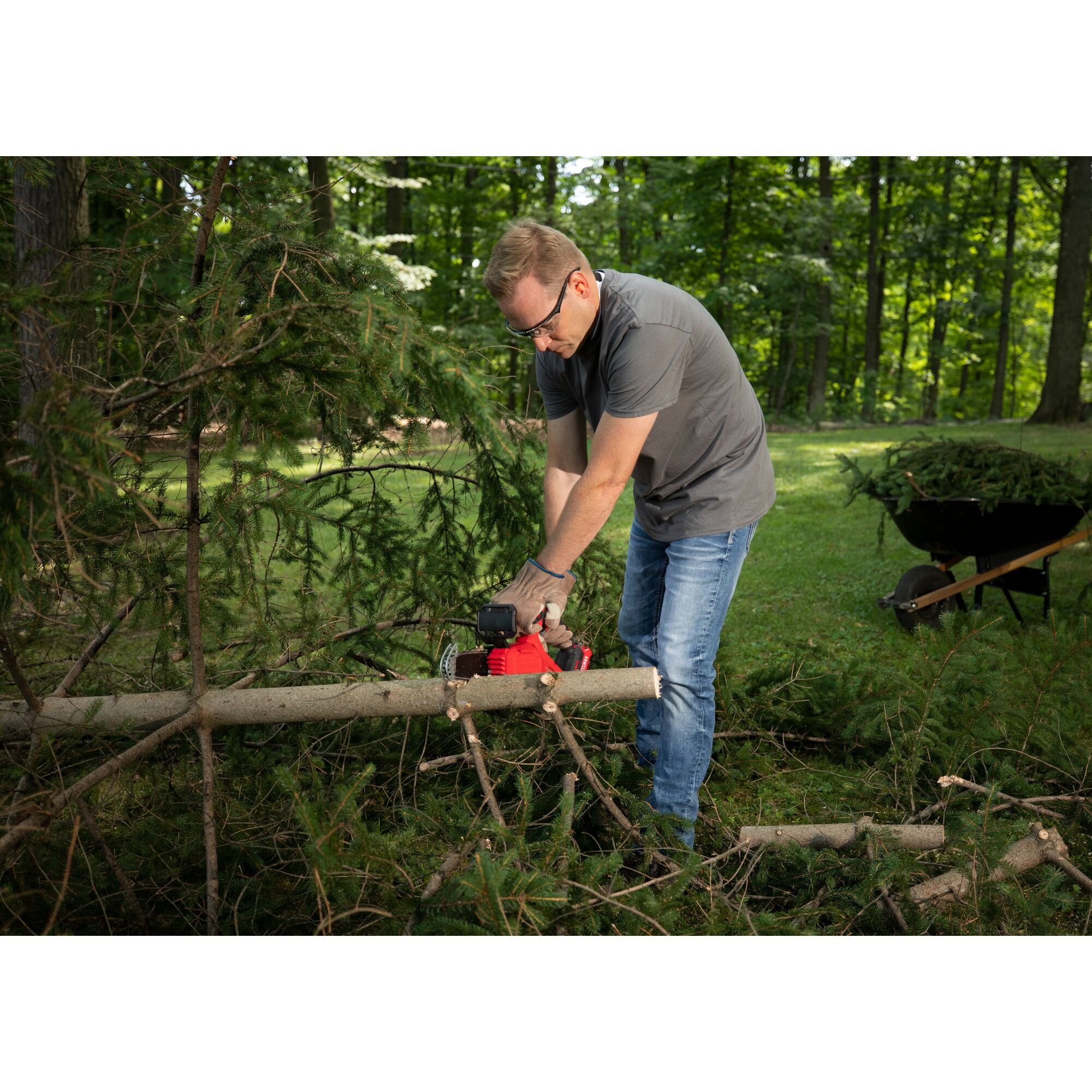 CRAFTSMAN V20 Pruning Chainsaw cutting a fallen tree in a wooded area