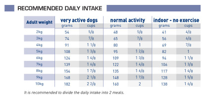 Adult small dog feeding guide
