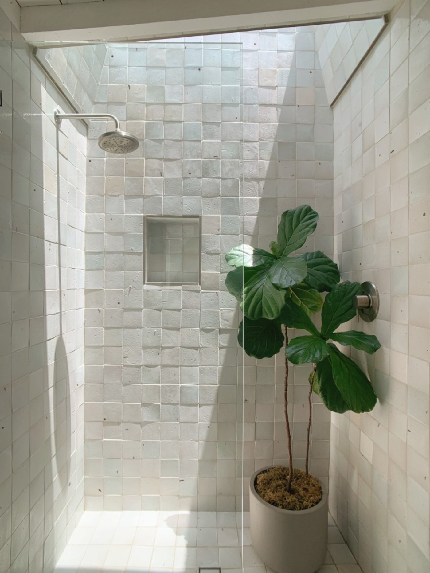 a white tiled shower with a potted plant.