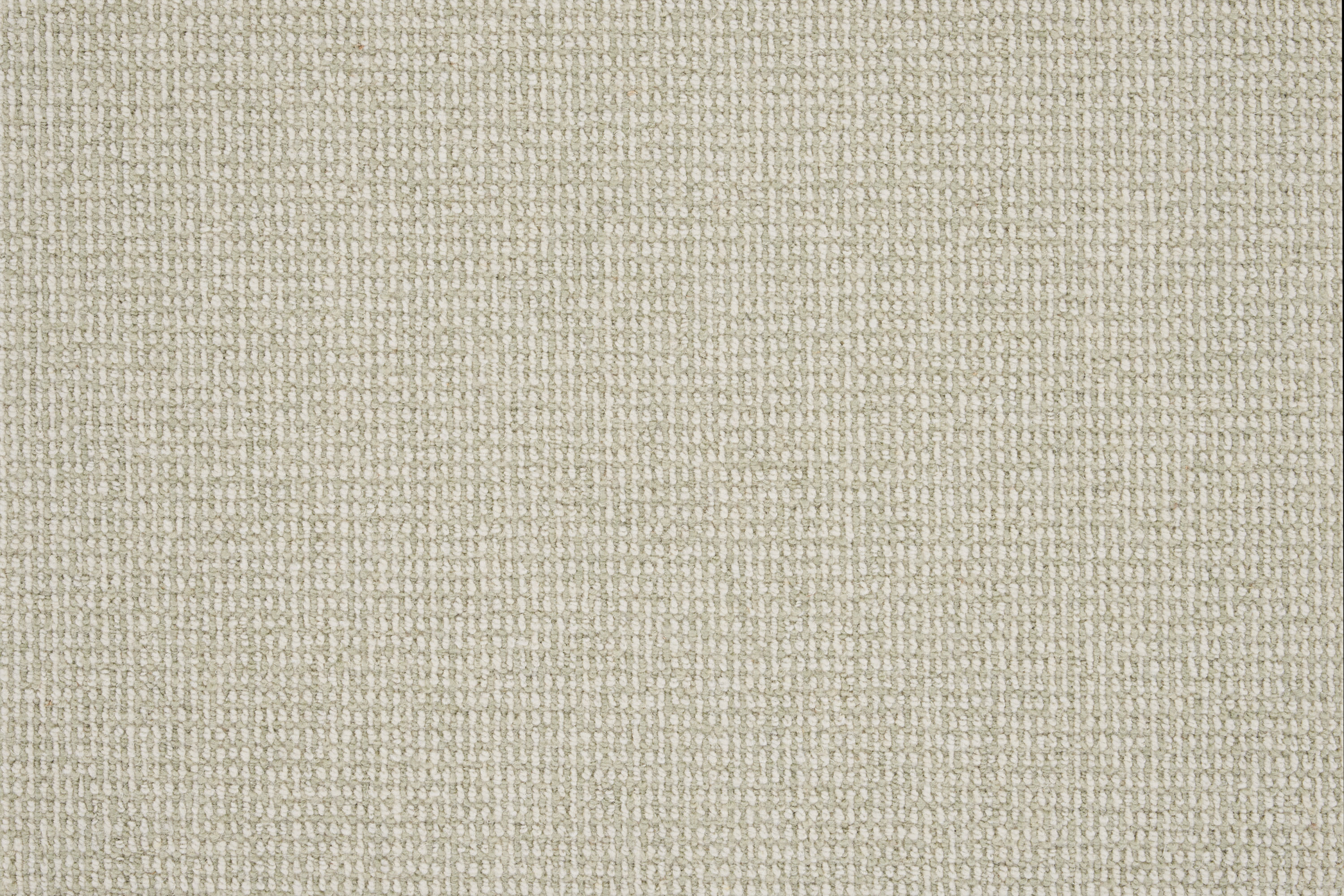 color-rug1